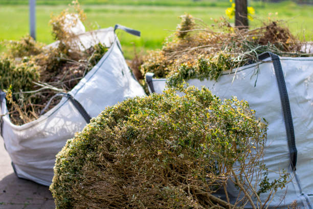 Best Furniture Removal  in Wakefield, NE